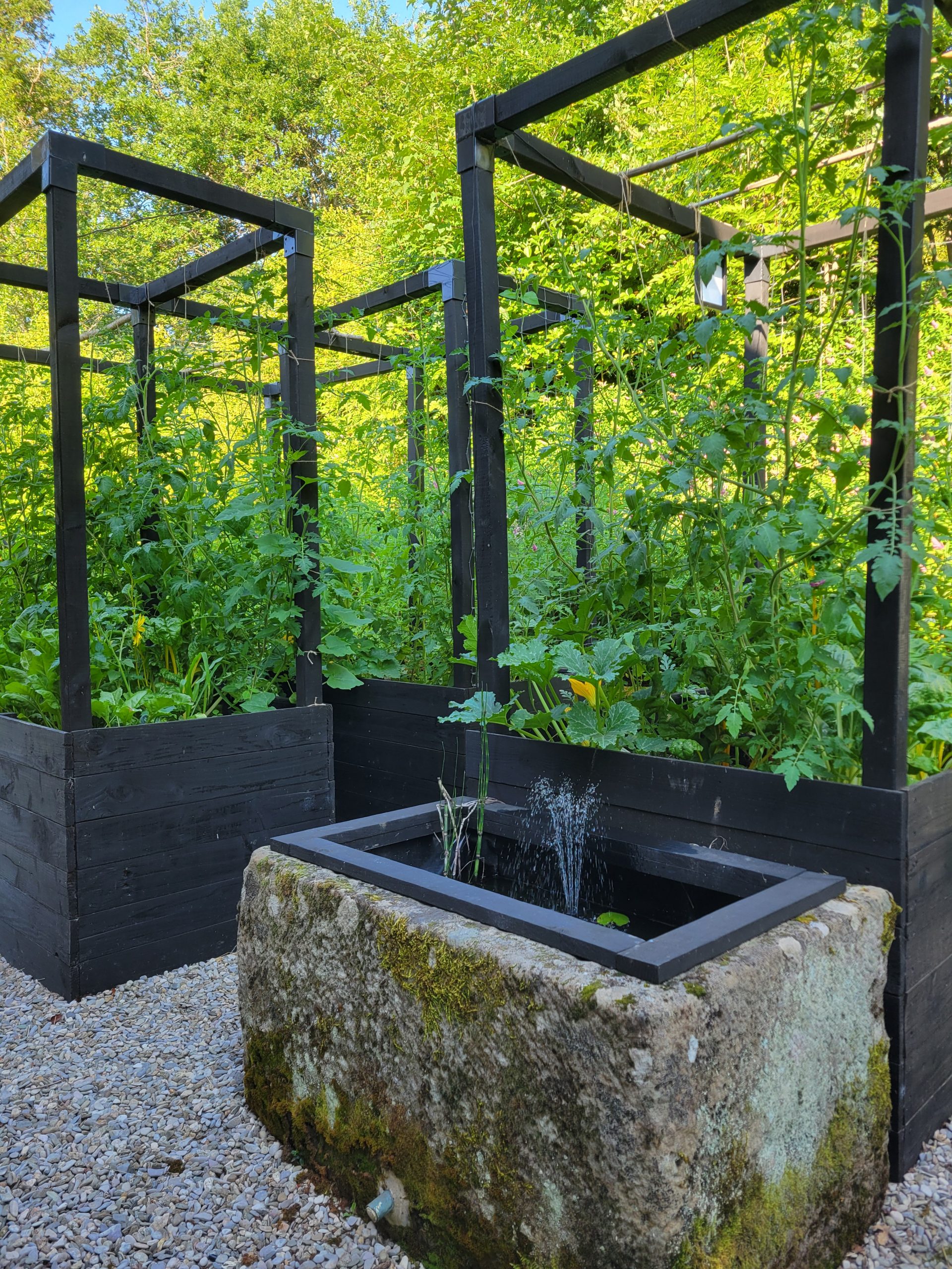 Bacs potagers en lasagnes