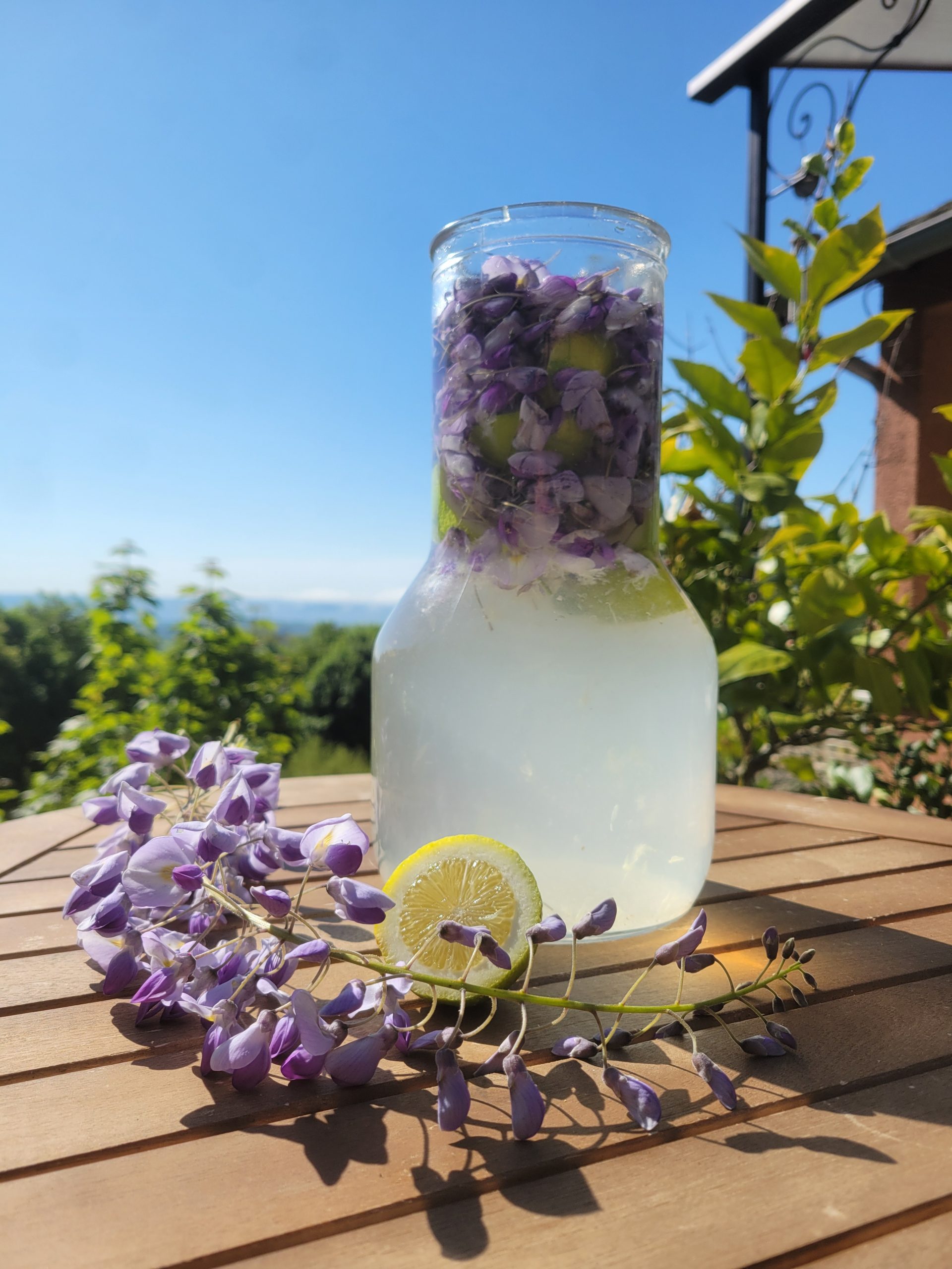 Boisson pétillante fermentée