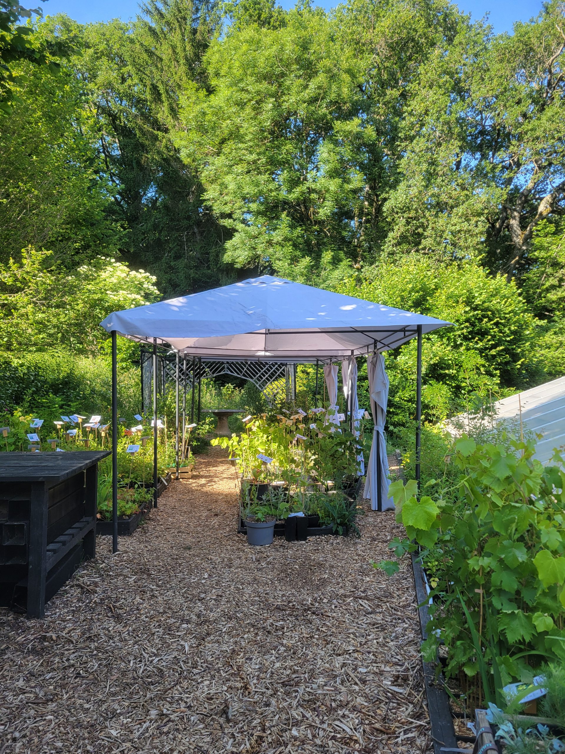 Extérieur pépinière