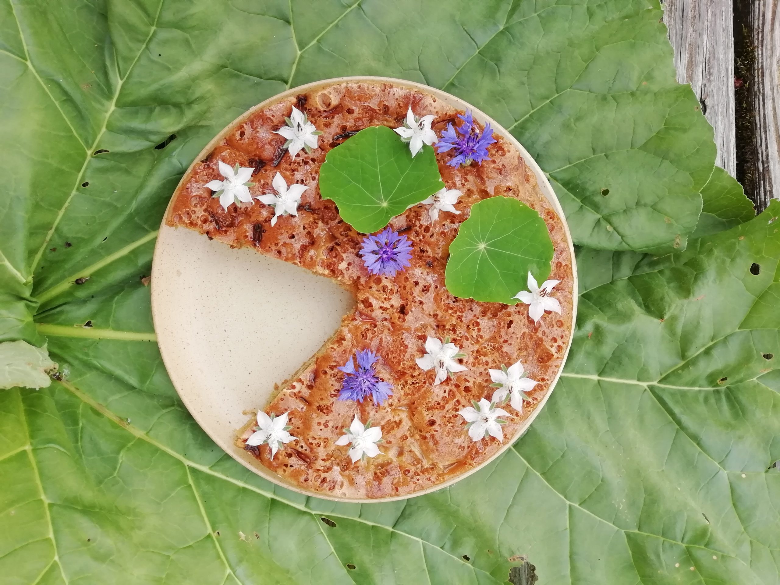 Gâteau à la rhubarbe au four solaire