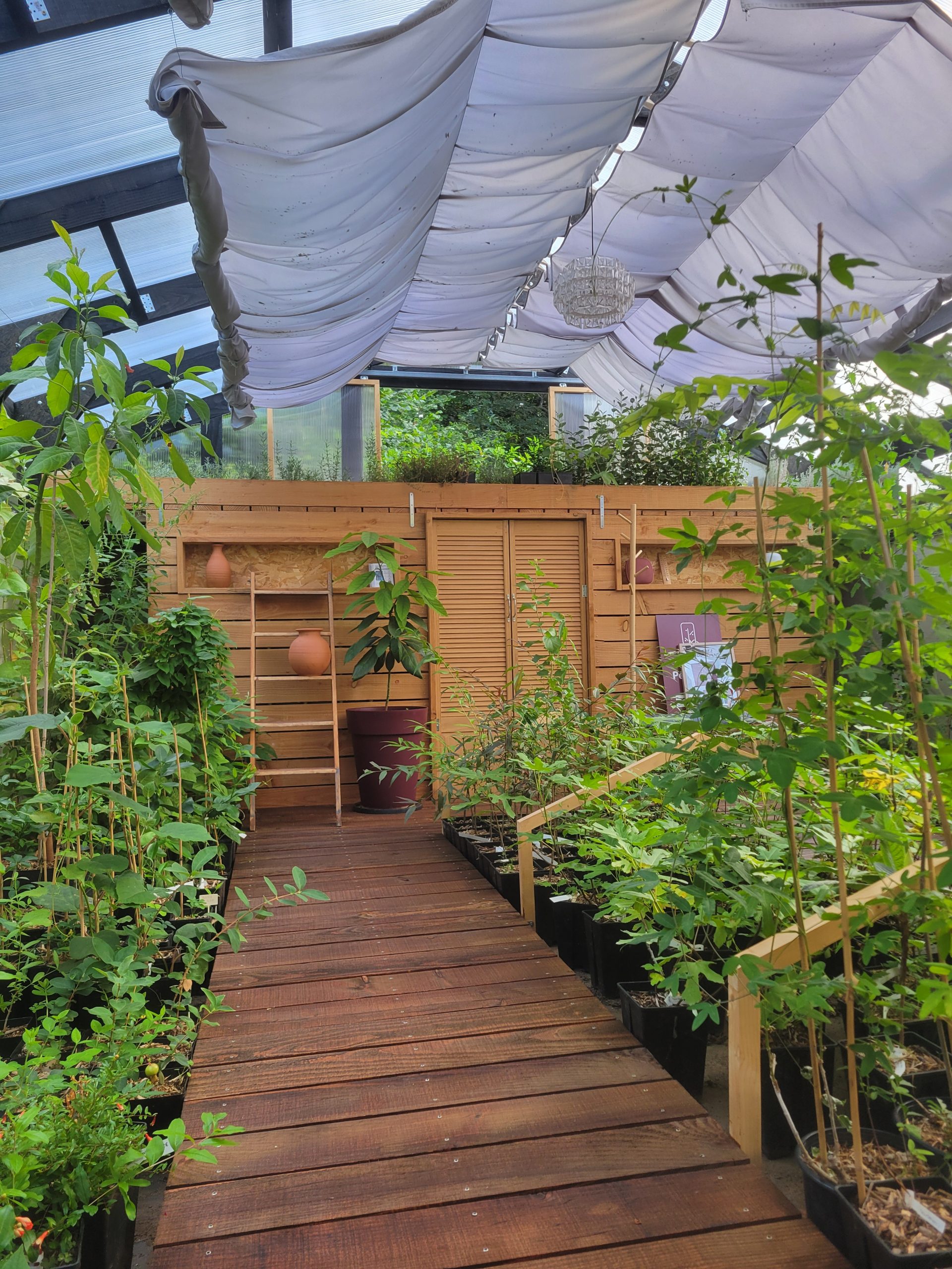 Intérieur serre pépinière 2