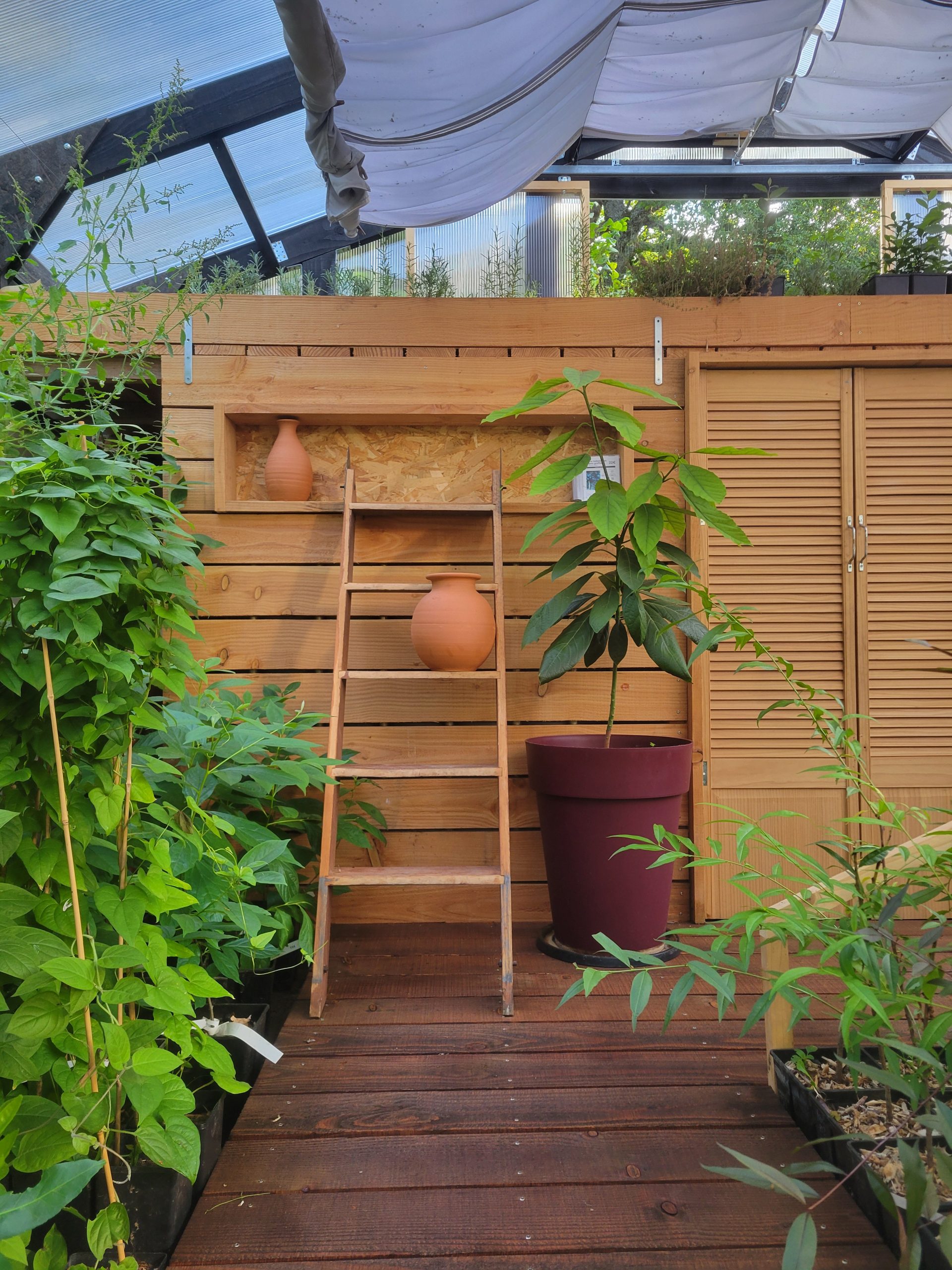 Intérieur serre pépinière