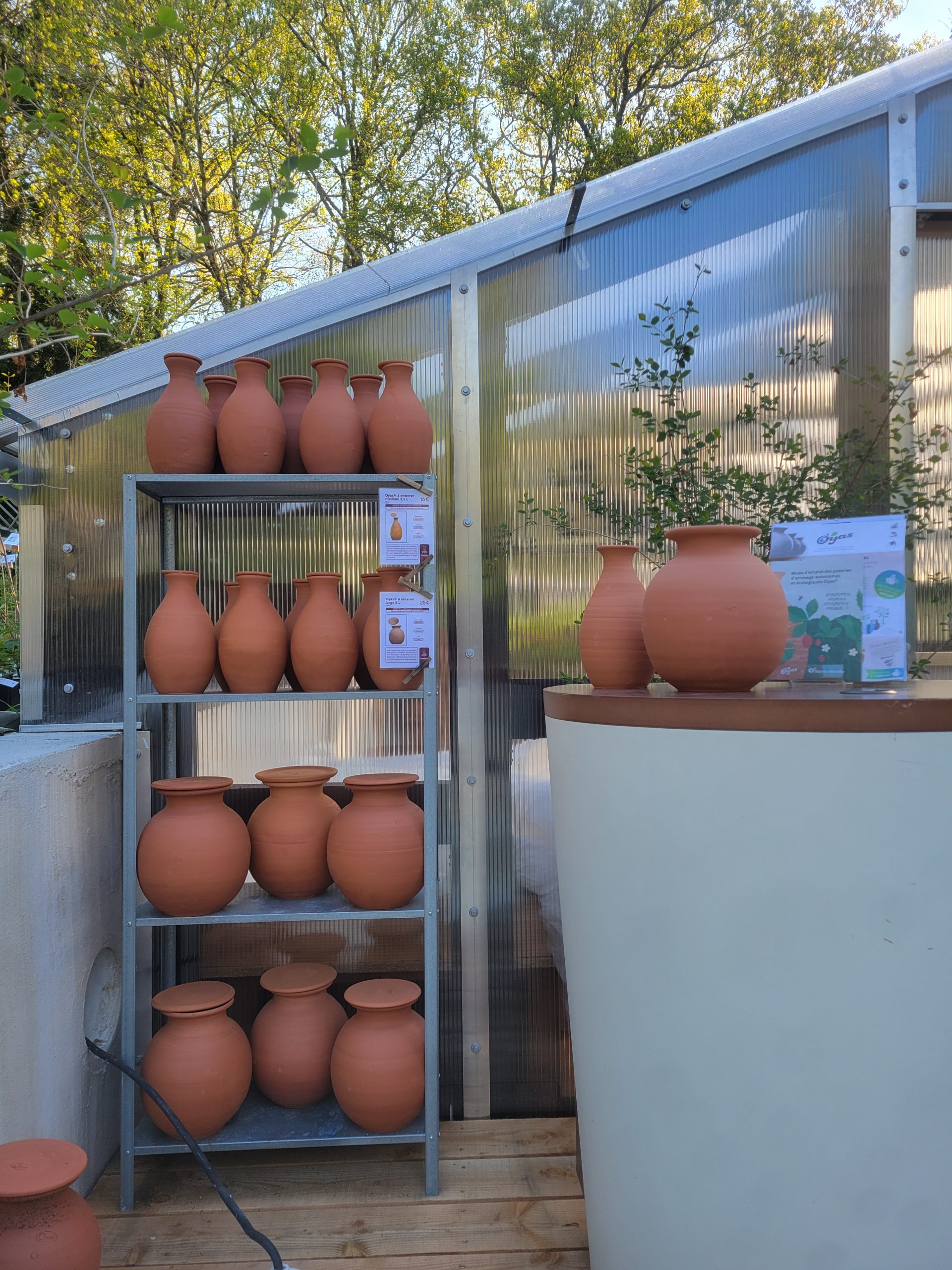 Vente oyas pépinière